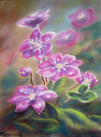 4. "SINILILLED" 33X43